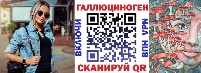 Купить  Пущино  Псилоцибиновые грибы Cubensis 