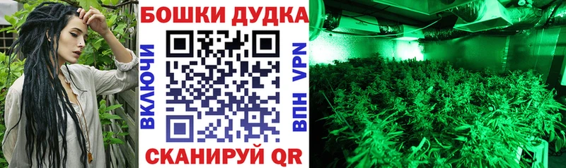 Марихуана White Widow  Купить закладки  Пущино 